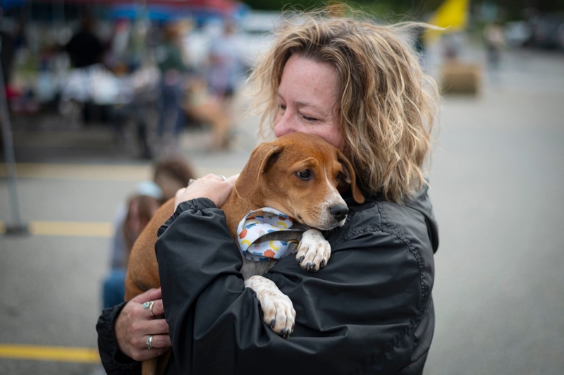 As financial hardship drives owners to give up pets, Vermont can’t rehome them fast enough