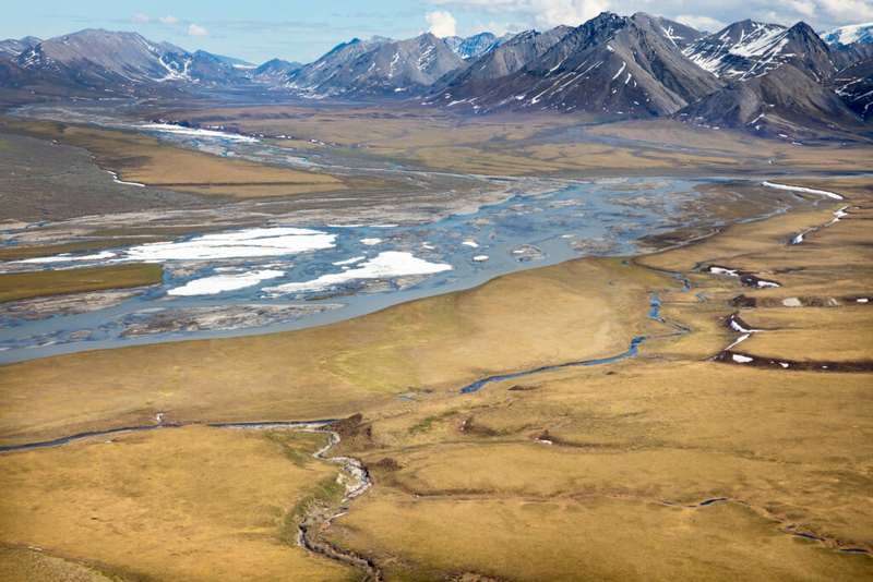 Controversial oil lease sale in Alaska wildlife refuge draws limited interest