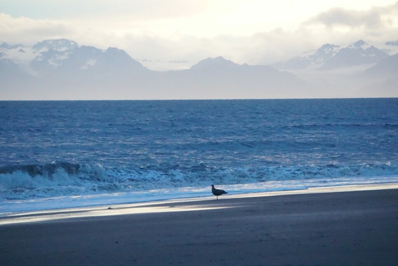 Lawmakers aim numerous bills at alleviating Southcentral Alaska’s natural gas supply crunch