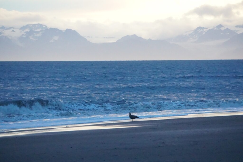 No public comment or hearings on environmental review of oil leasing in Alaska’s Cook Inlet