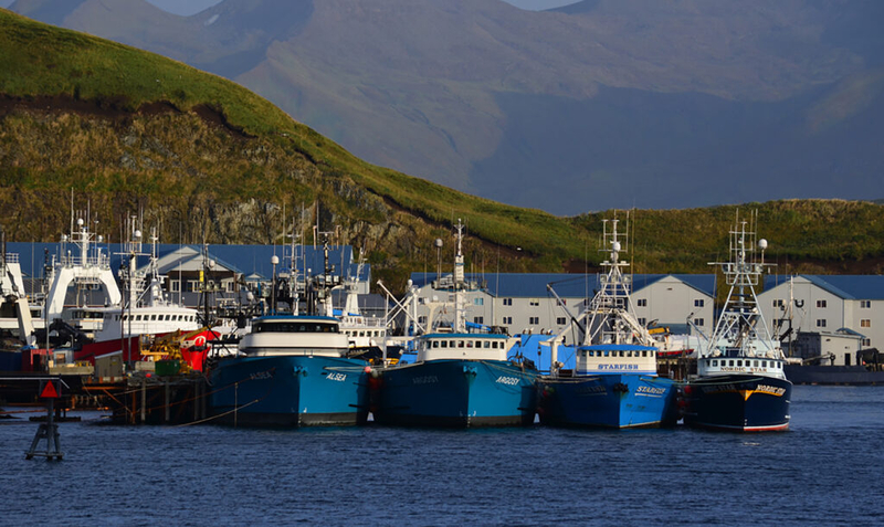 Alaska Legislature considers bills to ban bottom trawling in state waters