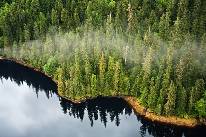 Dismantling the Roadless Rule threatens to disrupt wildlife, water and peace