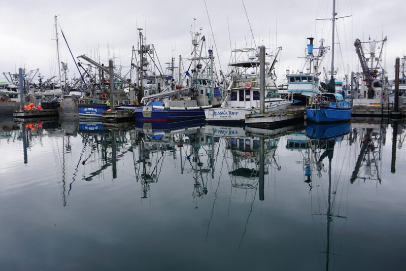 Pitched battle for Alaska’s Senate seat is enveloped in a fight over fish