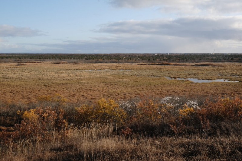 What happens when corporate obligations conflict with Alaska Native values?