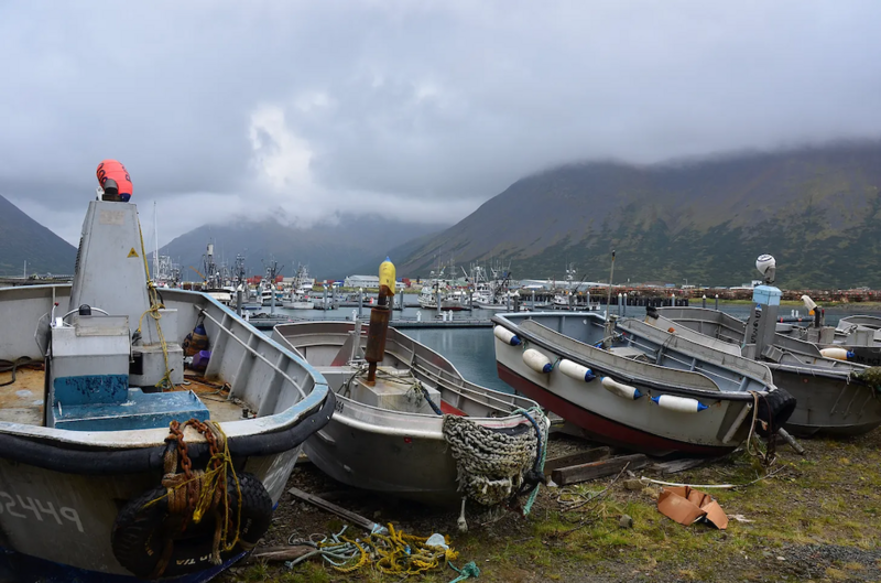 Troubled state-backed seafood company says it will lease out two plants, and could sell its assets