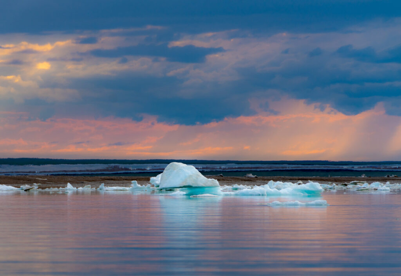 Trump administration ends NOAA support for annual Arctic Report Card