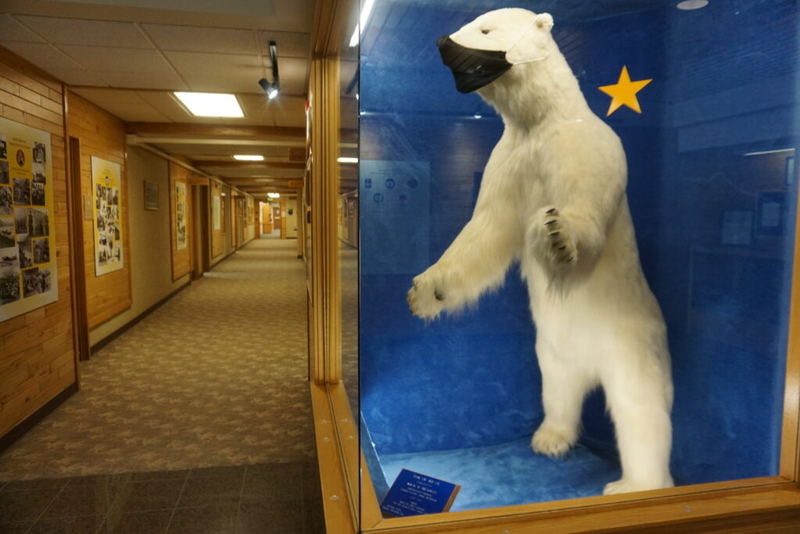 COVID still sickens Alaskans, but effects are muted and the death toll continues to drop
