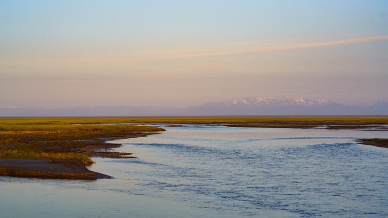 We are all connected to the Arctic  