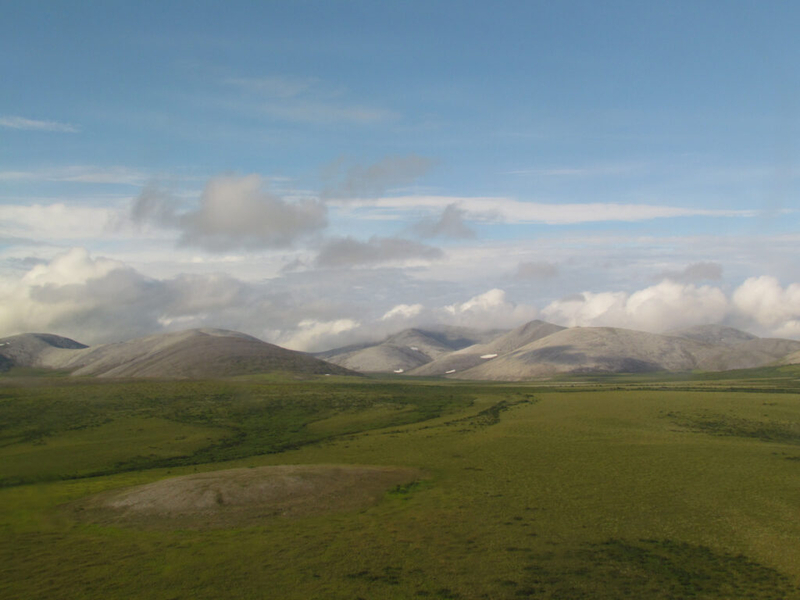 Arctic tundra now emitting more carbon gases than it absorbs, annual report says