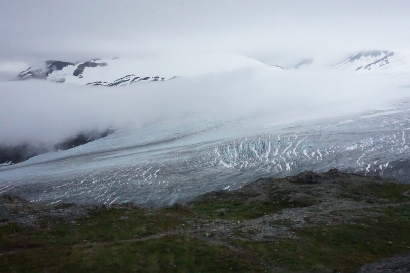 Threats to Alaska’s bees: climate, habitat, and a changing North