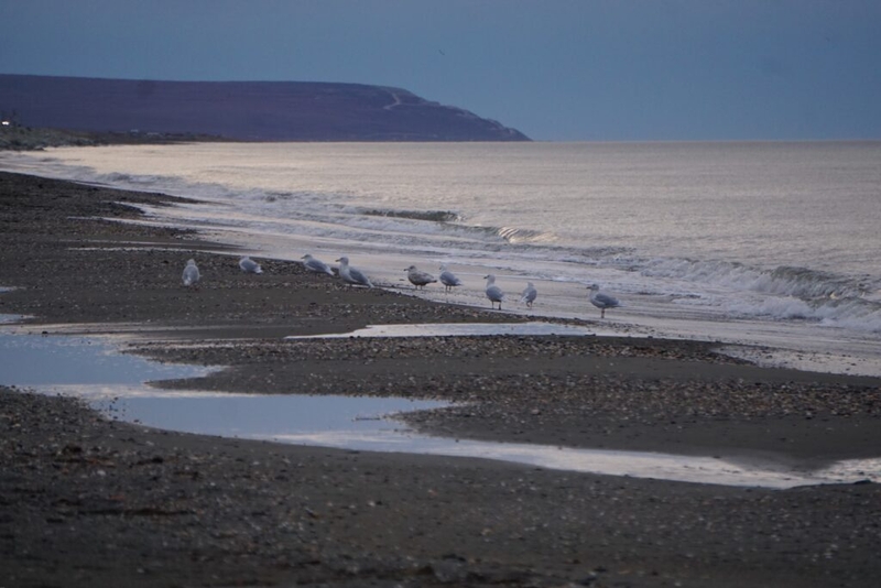 In Inupiaq, when the weather talks, you listen