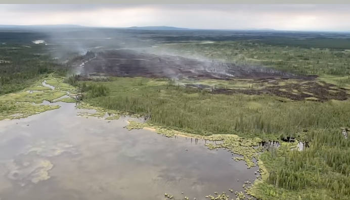How protecting wilderness could mean purposefully tending it, not just leaving it alone
