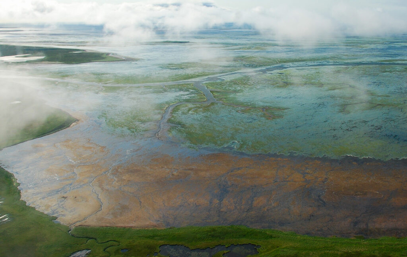 Feds suspend permit for road construction through Alaska wildlife refuge, amid legal questions