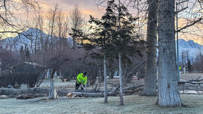Gov. Dunleavy approves disaster declaration for Matanuska-Susitna Borough following windstorm