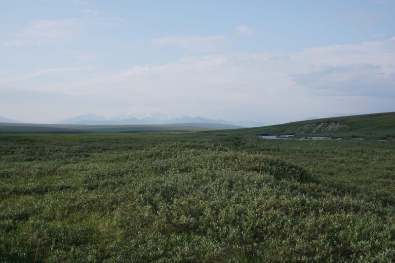 With industry wary of Arctic Refuge, Alaska’s own government plans a lonely quest for oil
