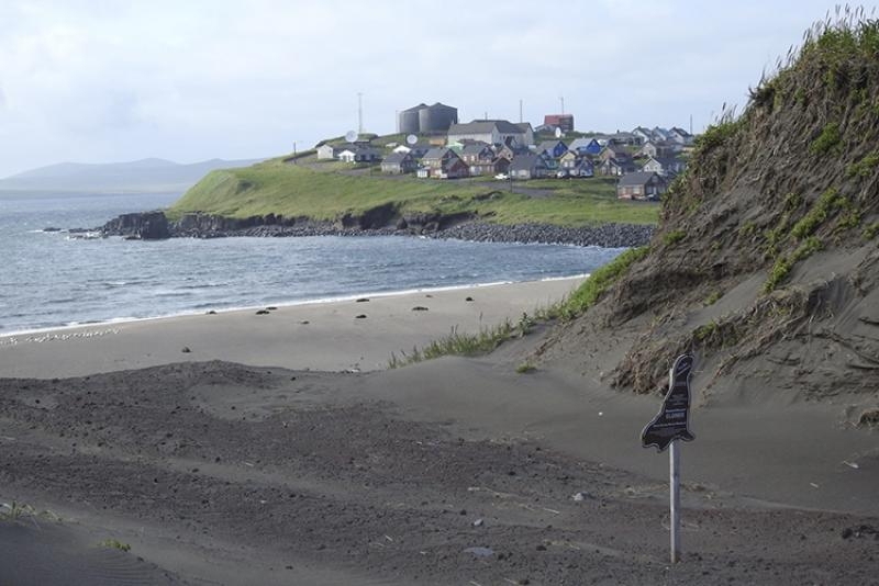 New rule allows dogs on Alaska’s Pribilof Islands for anti-rat duties