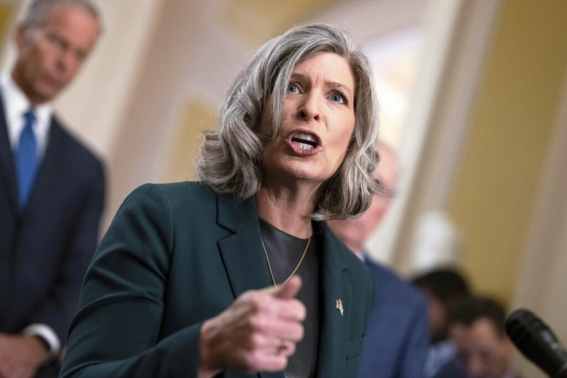 ‘Fraud Magnet’? Top Senator Wants To Halt SBA Contracts, Citing Hawaiʻi Case