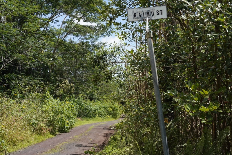 Tax Codes, State Highways And Energy: Hawaiʻi County Council District 4