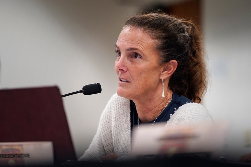 ‘Cannot Happen Again’: Lawmaker Targets Doctors Who Impregnate Patients