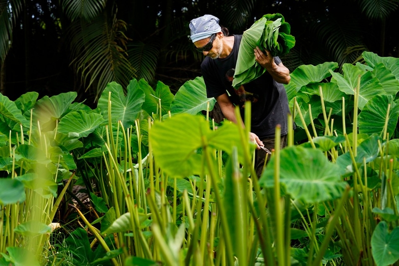 This Farmer-Artist Questions Hawaiʻi’s Statehood. He Wants To Be LG