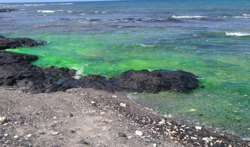 A Viable Cesspool Alternative Emerges On Hawaiʻi’s Coasts