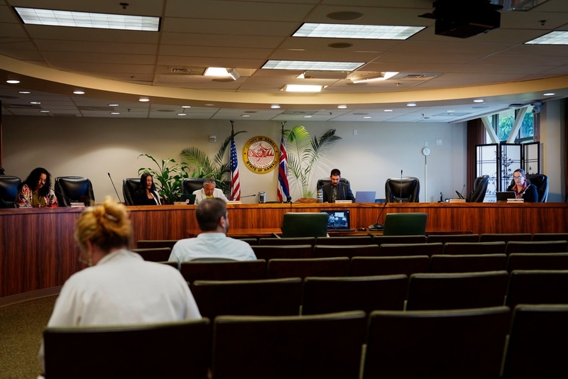 Hawaiʻi Island Auditor Says She Needs A Deputy. Voters Will Decide