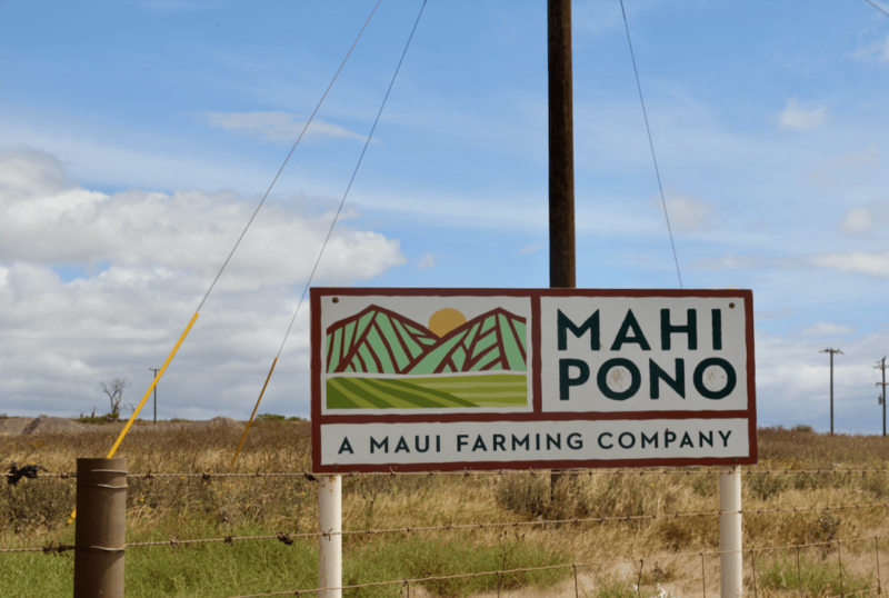 ‘Locked Out’: 30-Year Maui Water Lease Back On The Table For Private Company
