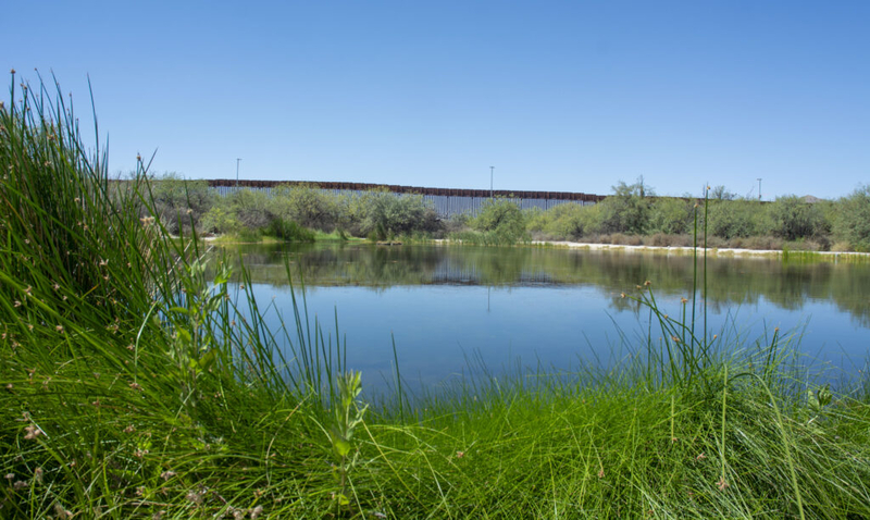 Trump’s second border wall could wipe out three species found nowhere else but Quitobaquito