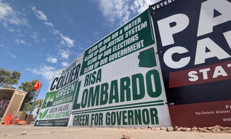 A mystery company, a MAGA activist and $1.1M: Inside Risa Lombardo’s ‘sham’ Green Party candidacy