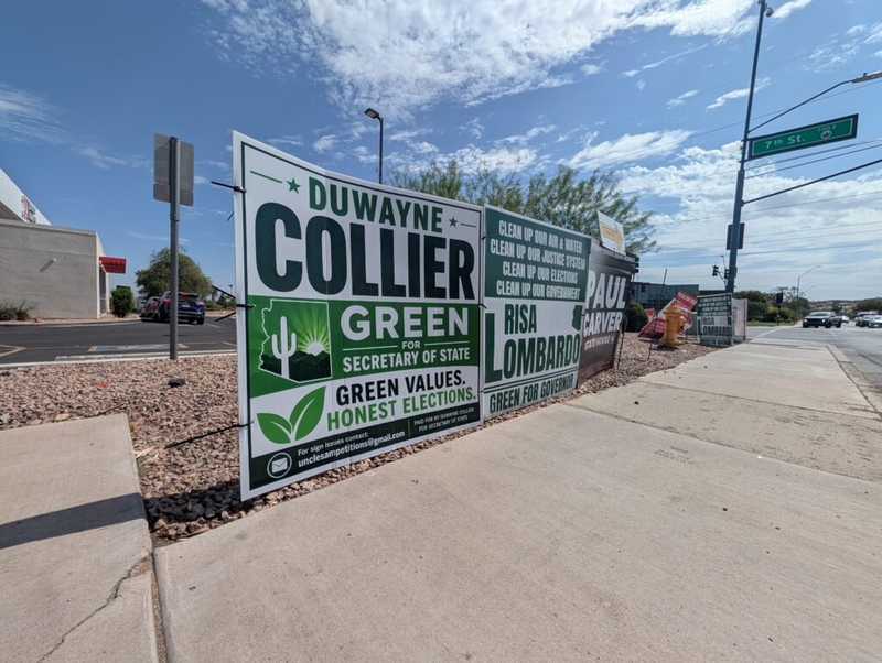 ‘Sham’ Green Party candidates win primary races over party-backed write-ins