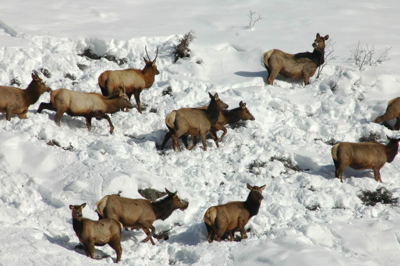 Project 2025 puts public lands in peril