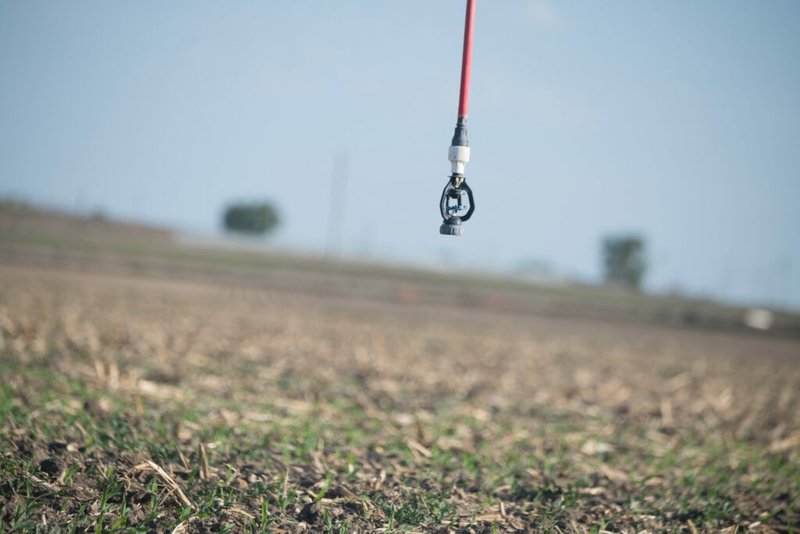 Colorado farming is a multibillion dollar industry â so why are so many residents going hungry?