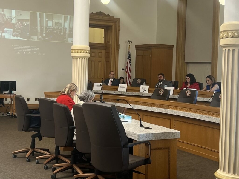 Proposal for firearm-sale waiting period advances through Colorado House committee