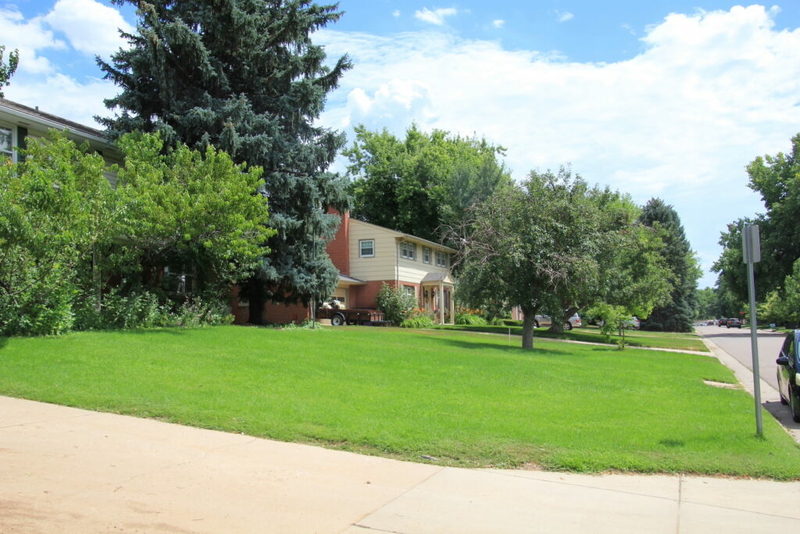 How bluegrass lawns became the default for homeowners associations
