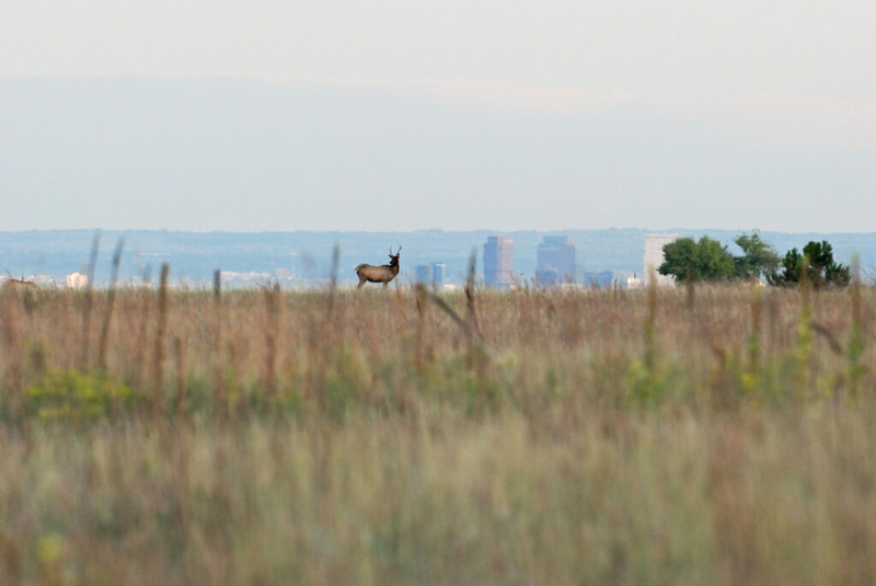 Plutonium found in air near former Rocky Flats nuclear weapons plant