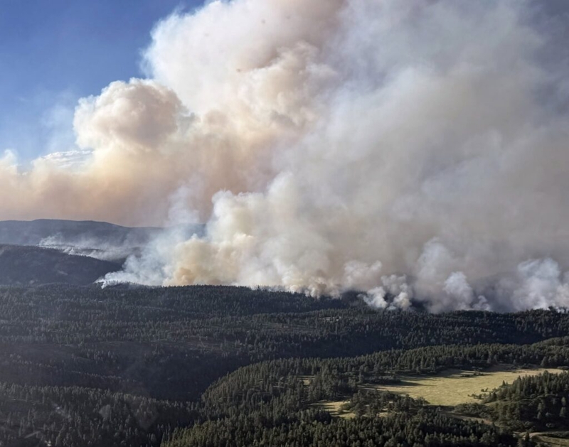 Wildfire strategy doesn’t need a winner