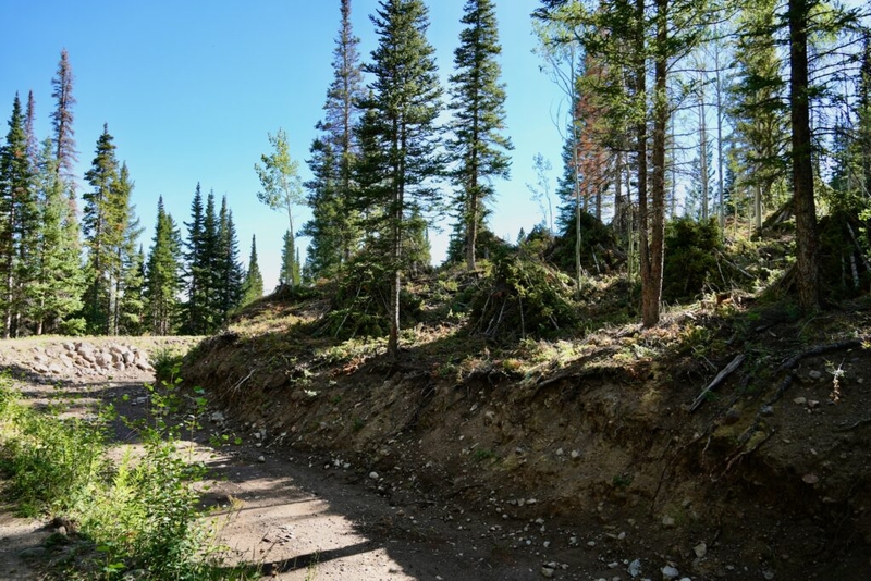 Coloradans to vote on ballot measure to increase funding for conservation, wildfire mitigation