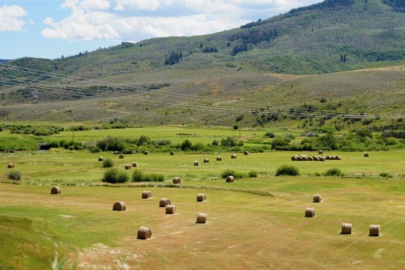 Colorado has a new, voluntary program to conserve Colorado River water. Farmers are wary.