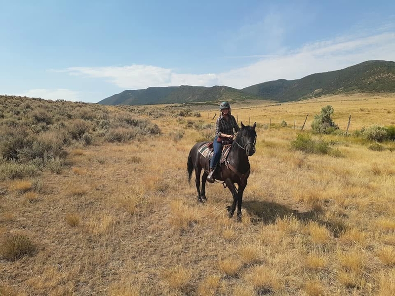 These Colorado ranchers want fossil fuel companies held accountable