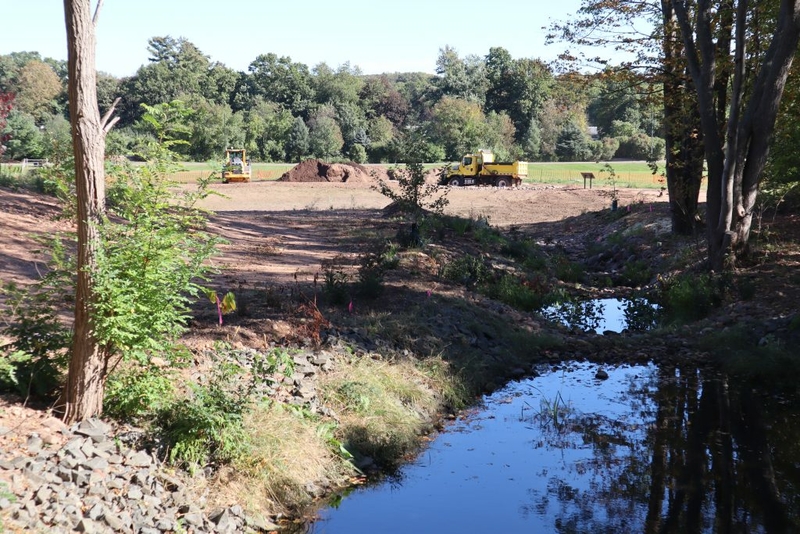Runoff flows from a pipe into a new rain garden in Town Center Park in Hamden. The water is filtered through rocks and absorbed by plants before the excess drains into a retention pond, at the rear of the photo, where it too eventually drains into the ground. JAN ELLEN SPIEGEL / CT MIRROR