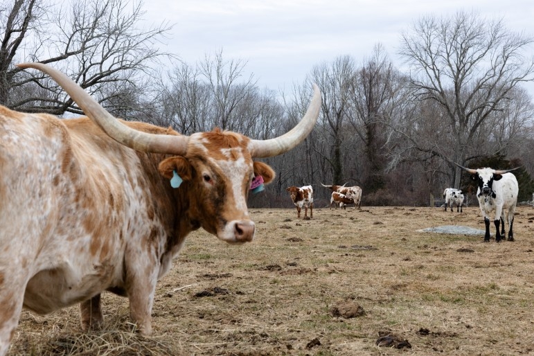 CT farmers protested a tax hike. This working group is offering solutions
