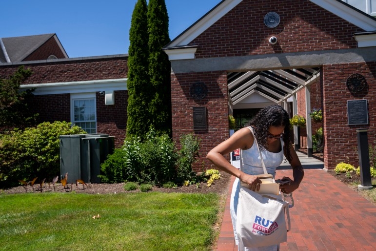Ruth Fortune’s hopes for congressional primary ride in a tote bag