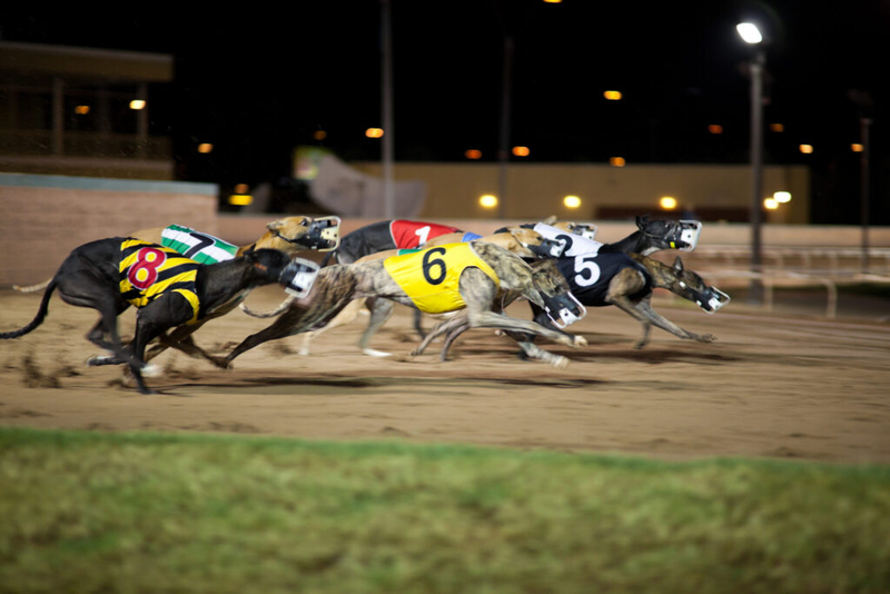 Betting on dog racing may finally run its course in Rhode Island