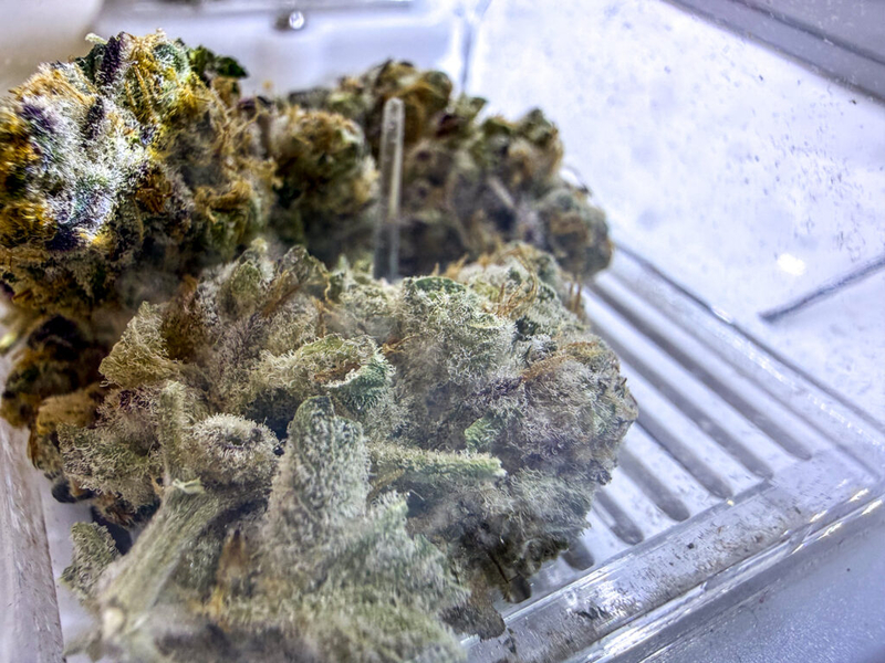 State moves to lift court order blocking pot shop licenses after residency requirement rejected