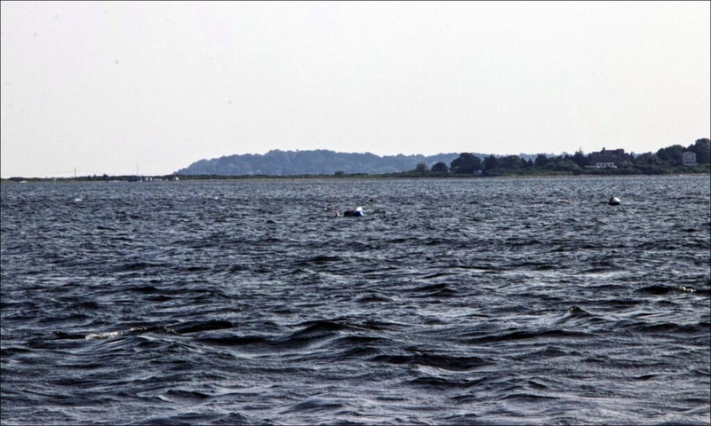 What’s next for contentious Tiverton oyster farm proposal? More meetings.