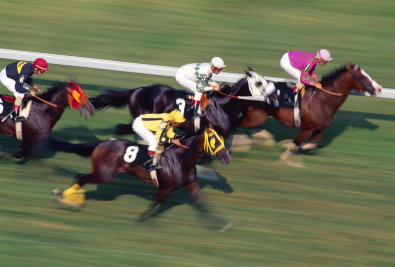 Gsu Racing Horse racing bills break out of Georgia’s legislative gate in new bid ...