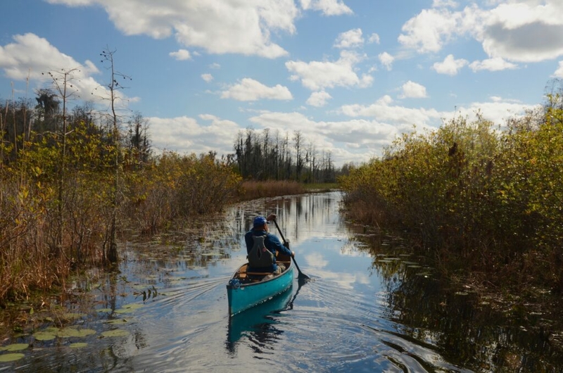 Okefenokee Swamp refuge will be nominated for high-profile World Heritage designation