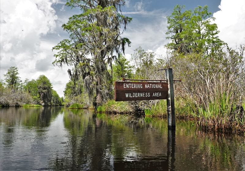 Okefenokee Swamp clinches World Heritage status, officially joining ranks of top natural wonders