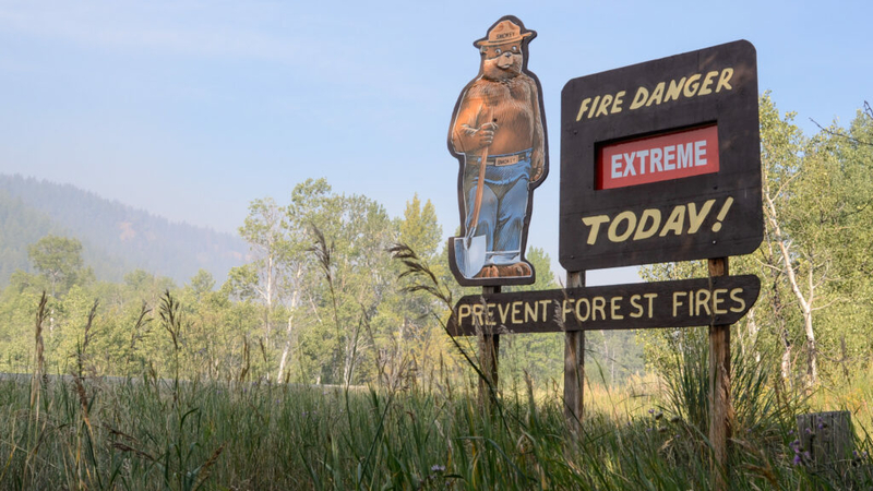 Celebrate Smokey Bear’s 80th birthday at the McCall Smokejumper Base