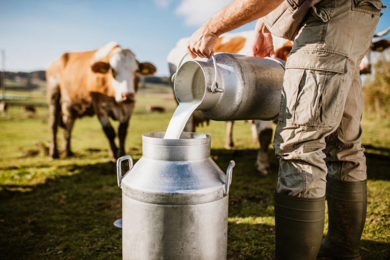 Nearly 60 Idahoans sick after drinking raw milk in past two weeks, officials say